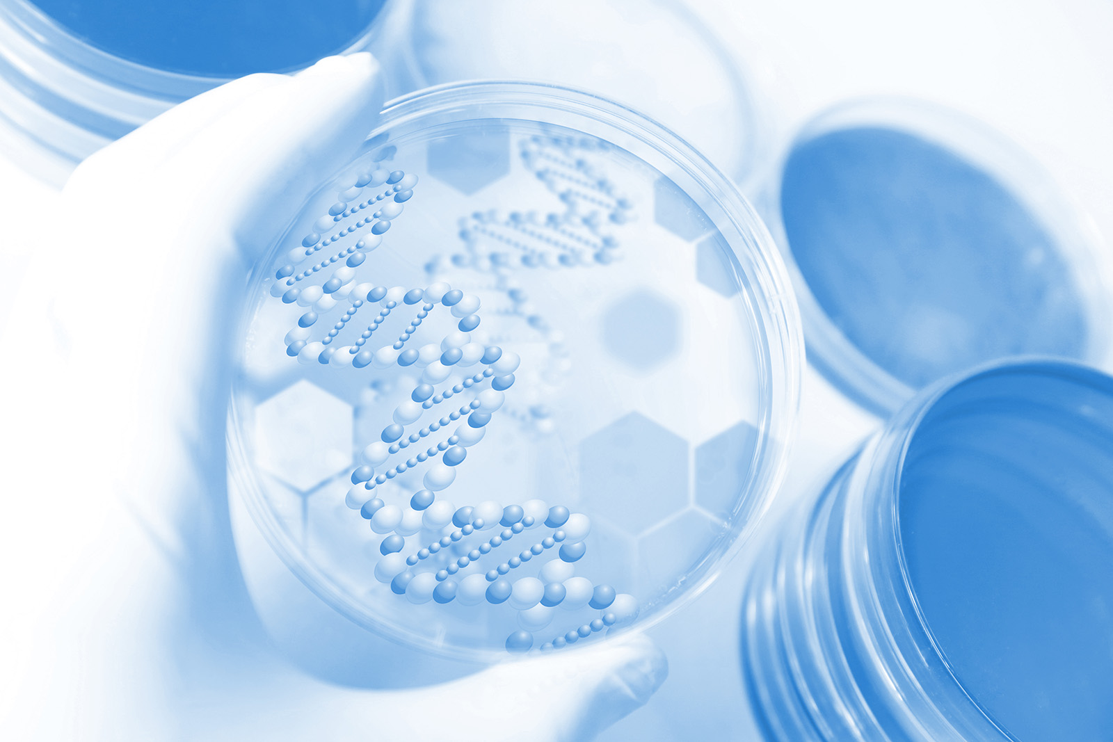 再発を防ぐための「原因療法」